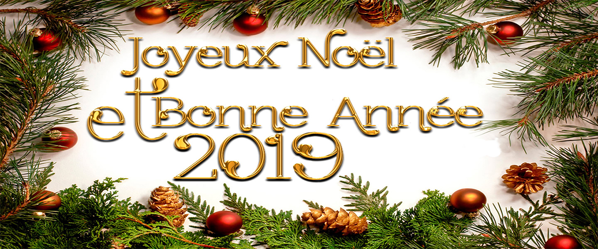 Joyeux Noël et Bonne Année !